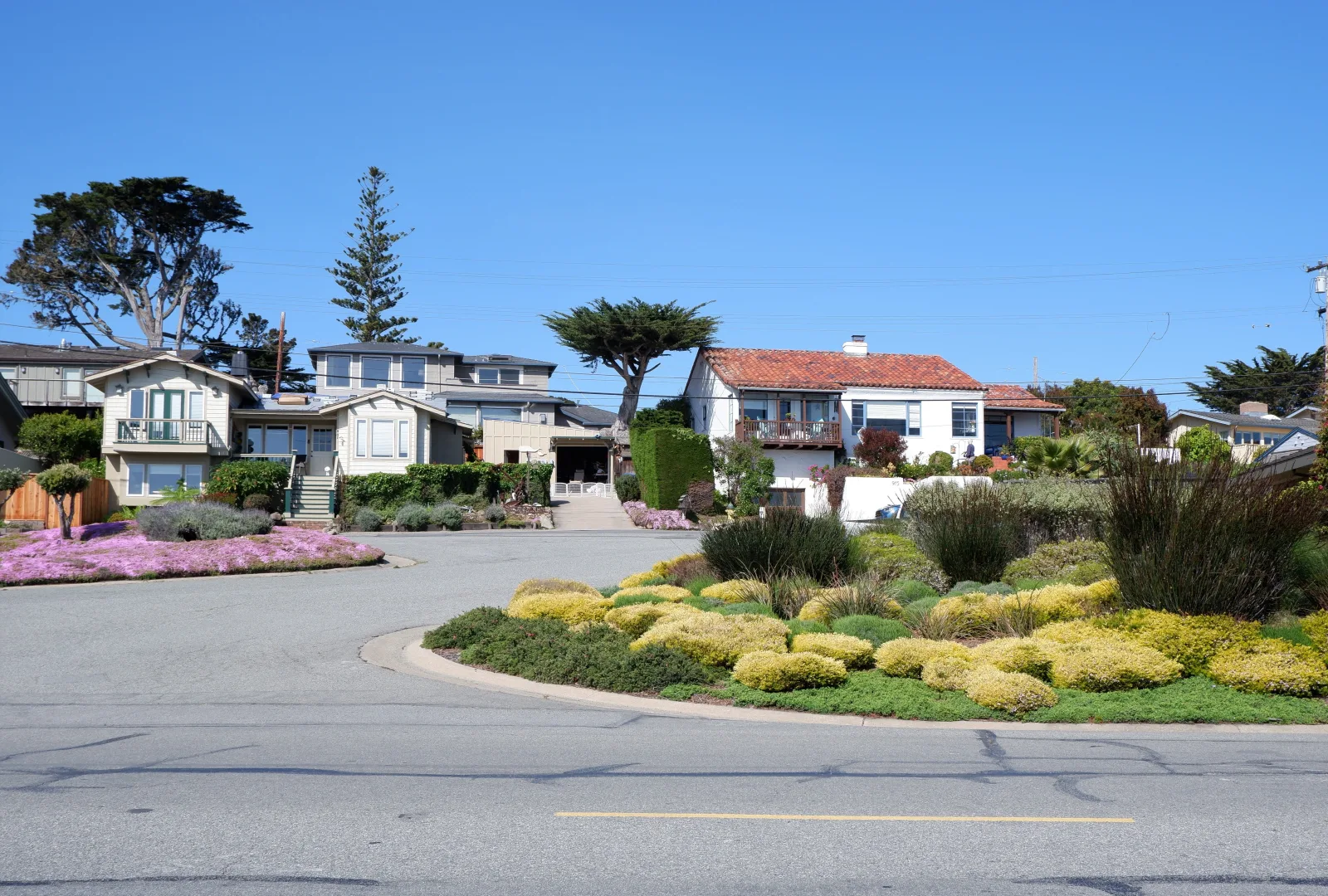 Houses and landscaped gardens along a quiet residential street under a blue sky.